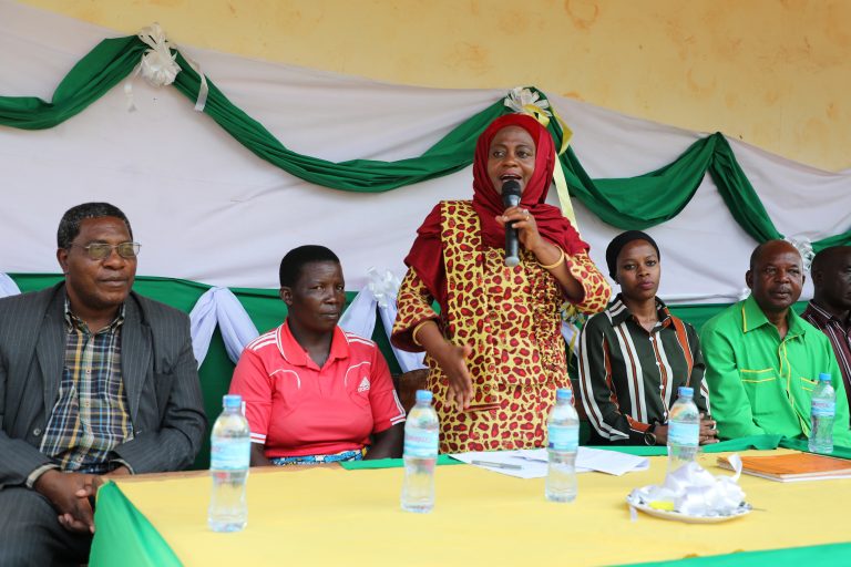 REA na TANESCO watakiwa kufanya kazi kwa umakini