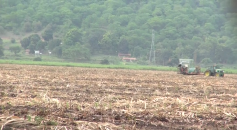 Kiwanda kipya cha Sukari kujengwa  Kilombero