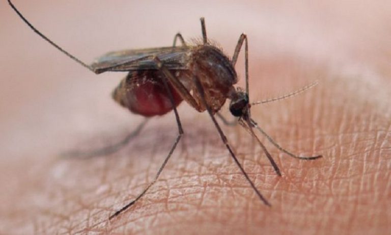 Malaria Sugu Yaripotiwa Bara la Asia