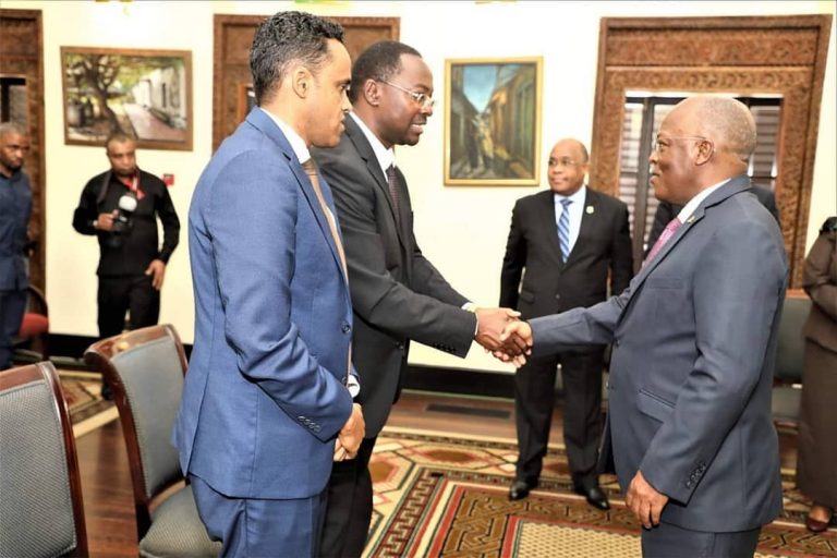 Rais Magufuli atoa maagizo kwa Waziri Simbachawene na Naibu Waziri Bashe