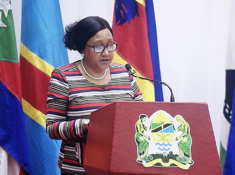 UMEME WA BONDE LA MTO RUFIJI NA UJENZI WA RELI YA KISASA WA TANZANIA NI MUHIMU SADC:DKT STRAGOMENA