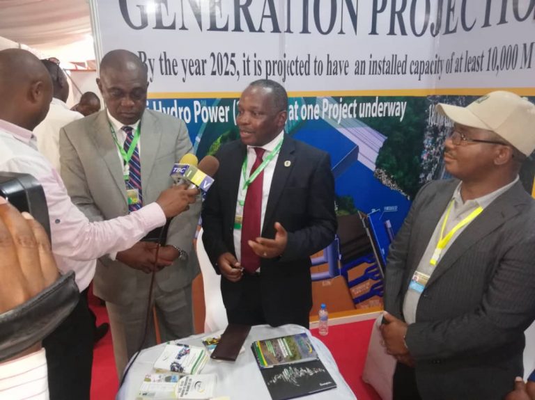 Tanzania kuuza umeme wake kwenye nchi za SADC