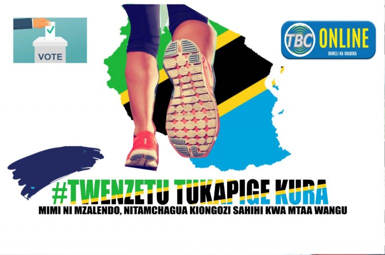 Novemba 24, 2019 Siku ya Uchaguzi Serikali za Mitaa