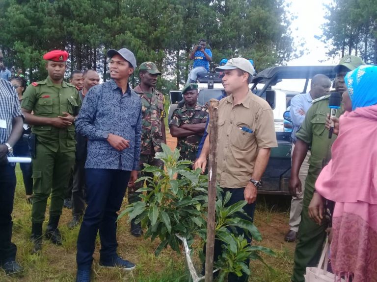 Iringa wapata soko la uhakika la parachichi