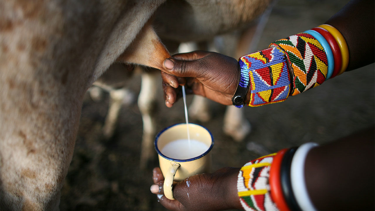 Wiki ya Maziwa: Watanzania waaswa kutumia maziwa ya ndani ya nchi