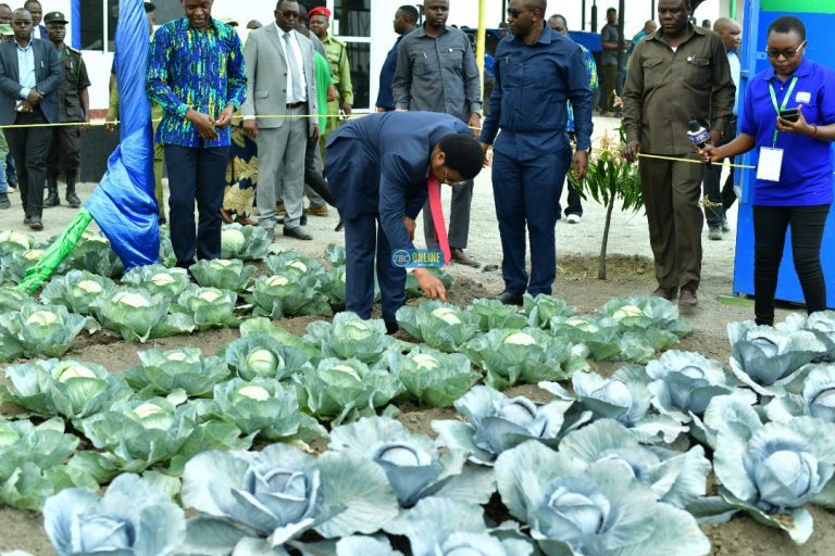 Viwanja vya Nanenane kutoa mafunzo kwa wakulima mwaka mzima