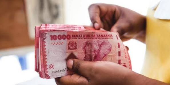 Tanzania yapokea bilioni 34 kutoka Kuwait kwa ajili ya mradi wa umwagiliaji Kigoma