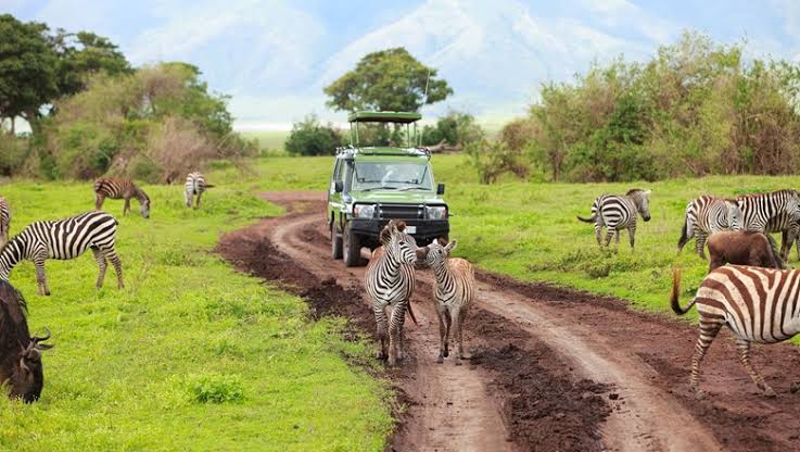 Siku ya Utalii Duniani: Tanzania mfano kuigwa katika utalii baada ya COVID-19