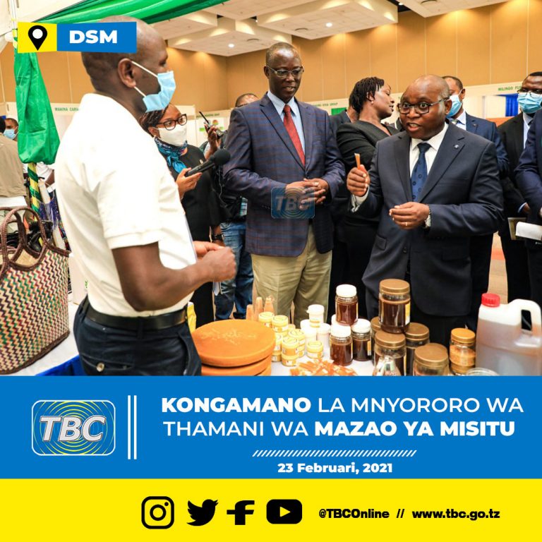 Wataalamu watakiwa kuongeza uzalishaji wa mazao ya misitu na nyuki