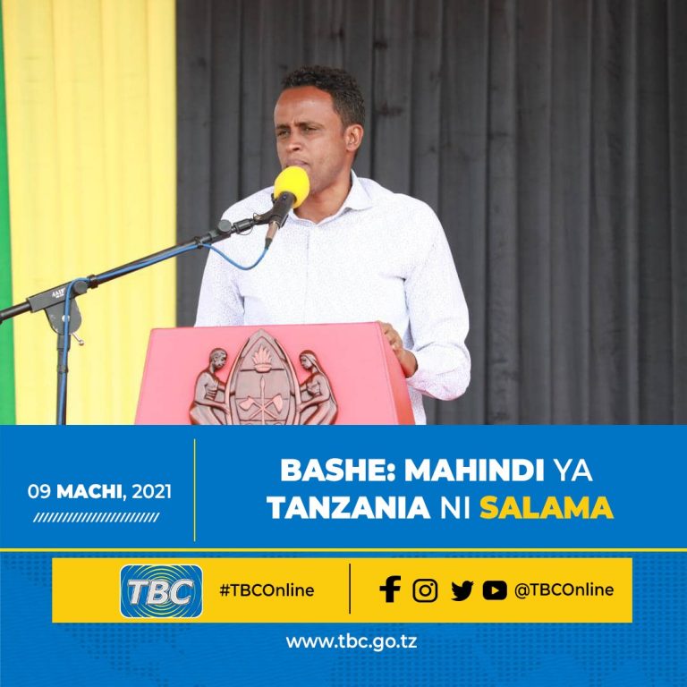 BASHE: Mahindi ya Tanzania ni salama kwa afya