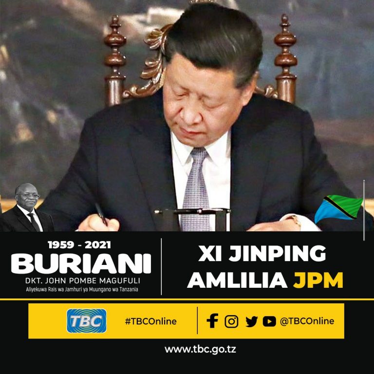 XI JINPING AMLILIA JPM