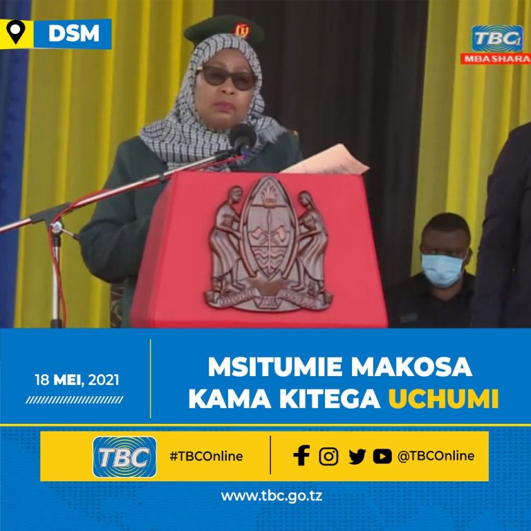 Rais Samia Suluhu Hassan : Msitumie makosa kama kitega uchumi