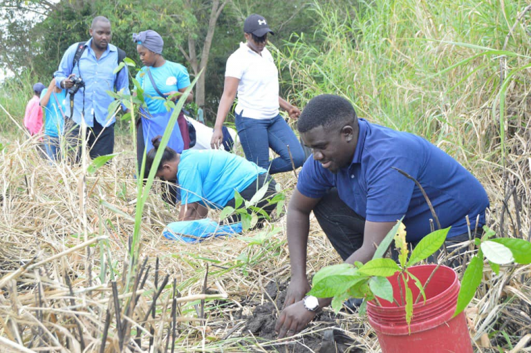 DAWASA yaadhimisha siku ya mazingira kwa kupanda miti