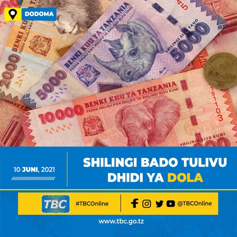 Shilingi bado tulivu dhidi ya dola