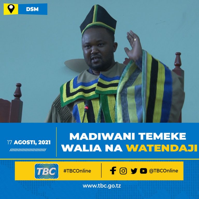 ​Madiwani Temeke walia na watendaji