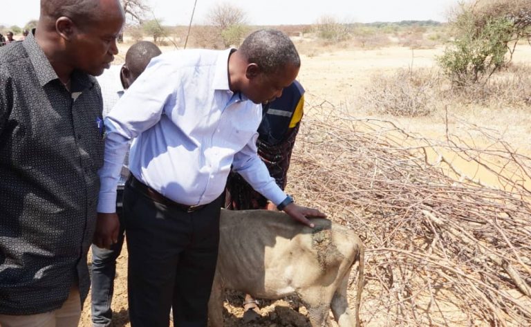 Waliosababisha madhara ya chanjo kwa mifugo wasakwa