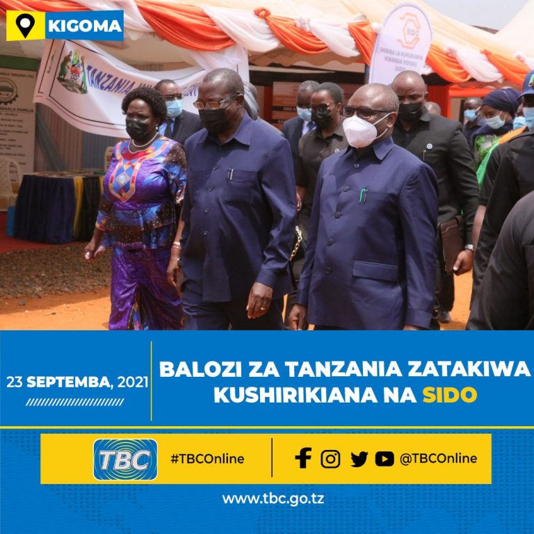 Balozi za Tanzania zatakiwa kushirikiana na SIDO kuendeleza uchumi wa viwanda