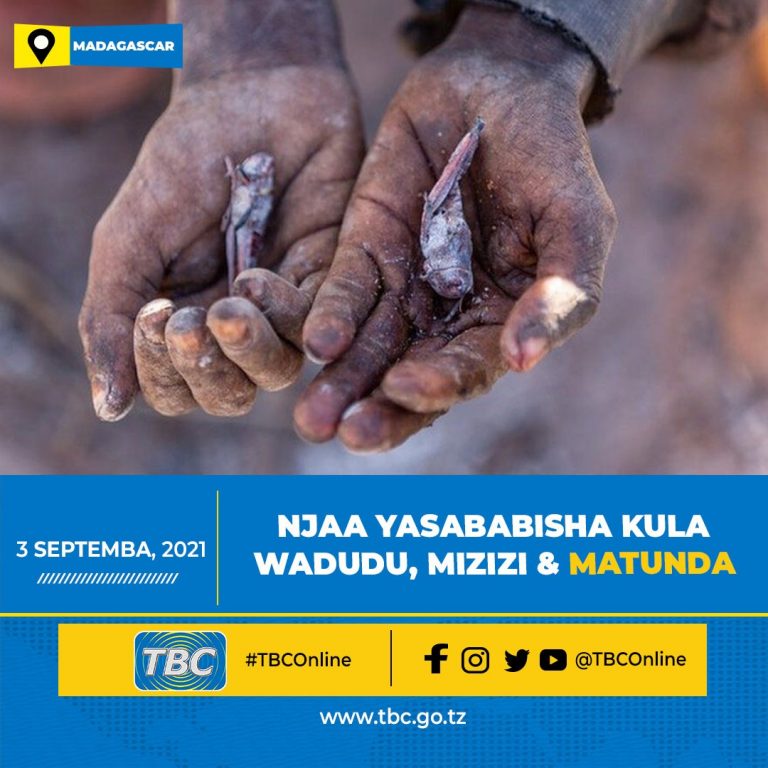 Njaa yasabisha kula wadudu, matunda na mizizi