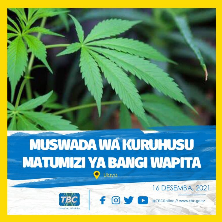 Muswada wa kuruhusu matumizi ya bangi wapita