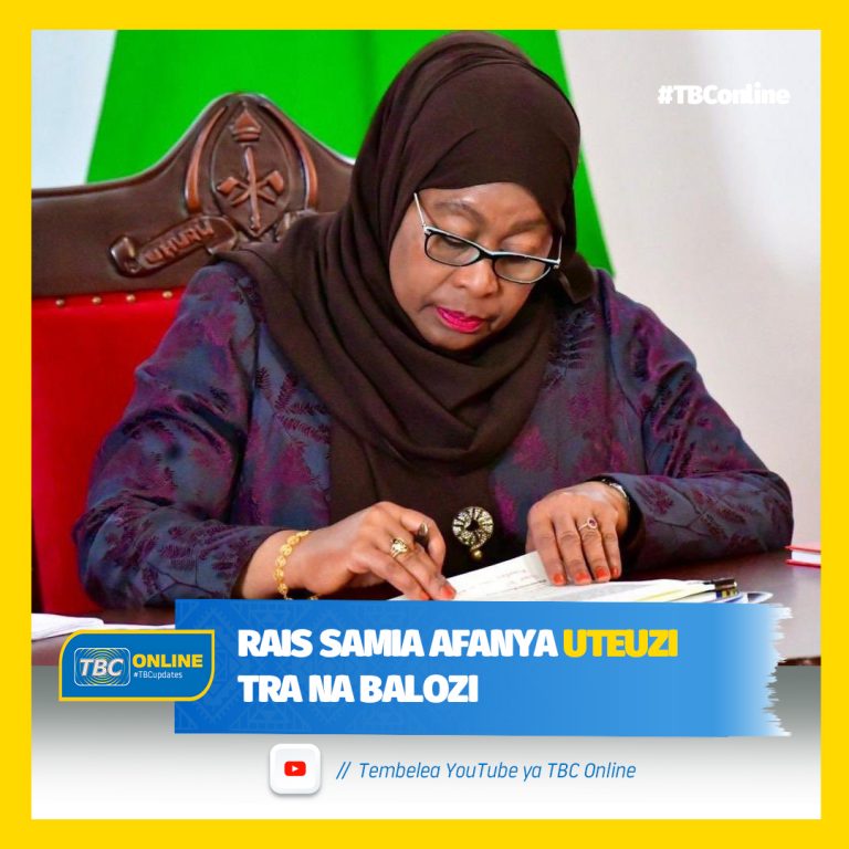 Rais Samia Suluhu Hassan afanya teuzi mbili