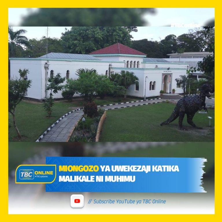 MIONGOZO YA UWEKEZAJI KATIKA MALIKALE NI MUHIMU