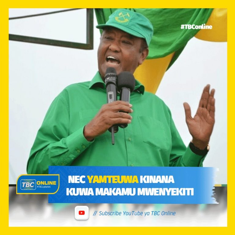 Kinana apitishwa kuwa makamu mwenyekiti wa CCM