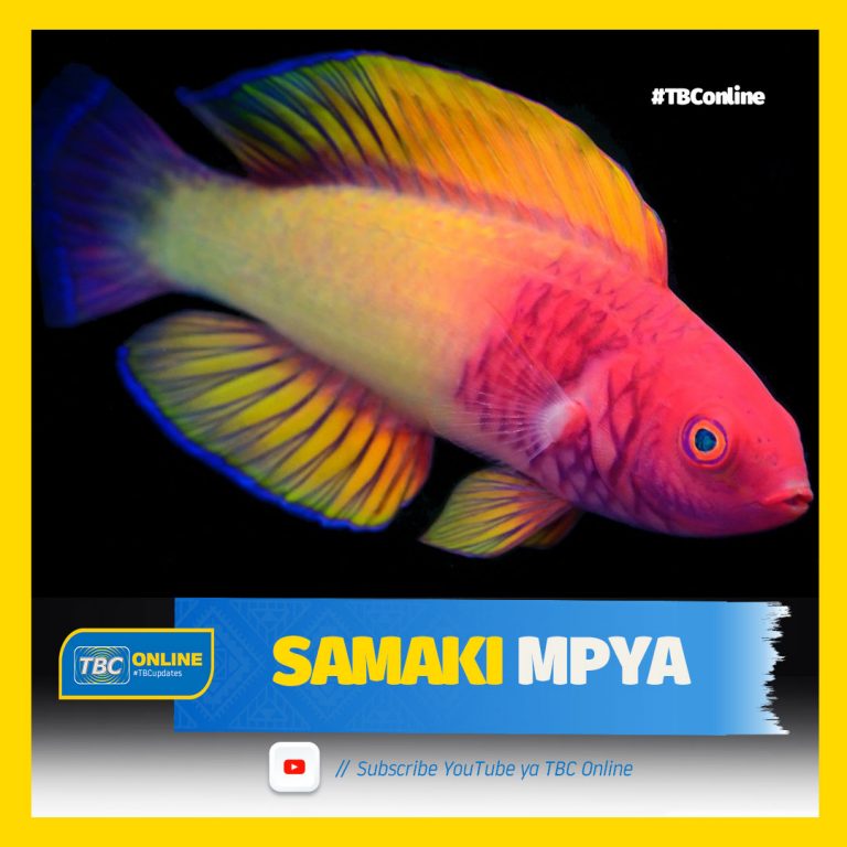 SAMAKI MPYA