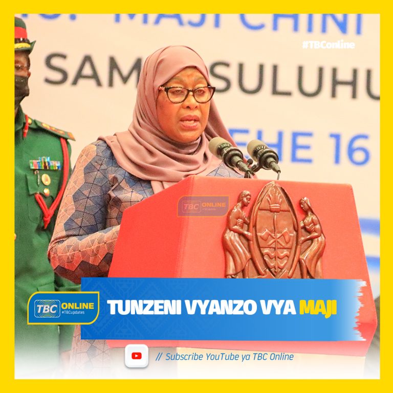 Rais Samia asisitiza utunzaji  vyanzo vya maji