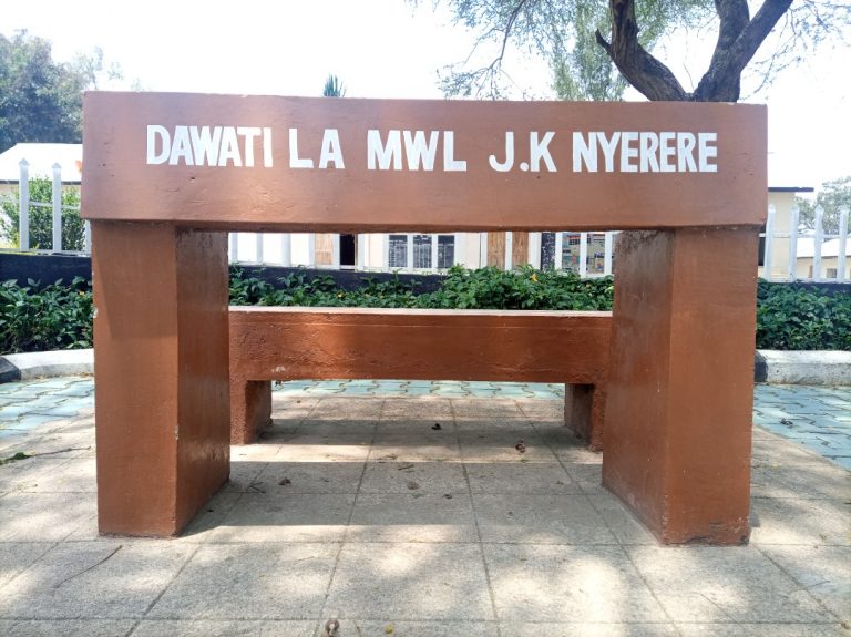 Mwalimu Nyerere na juhudi binafsi darasani