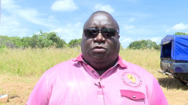 Sangweni : Tusibaki nyuma kwenye mradi wa LNG