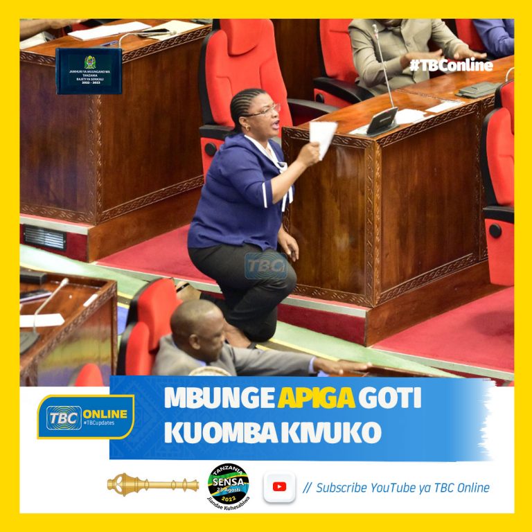 Mbunge apiga goti kuomba  kivuko