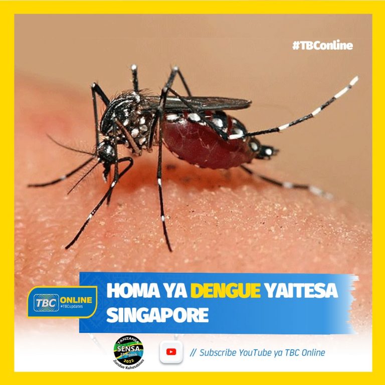 Homa ya dengue yaitesa Singapore