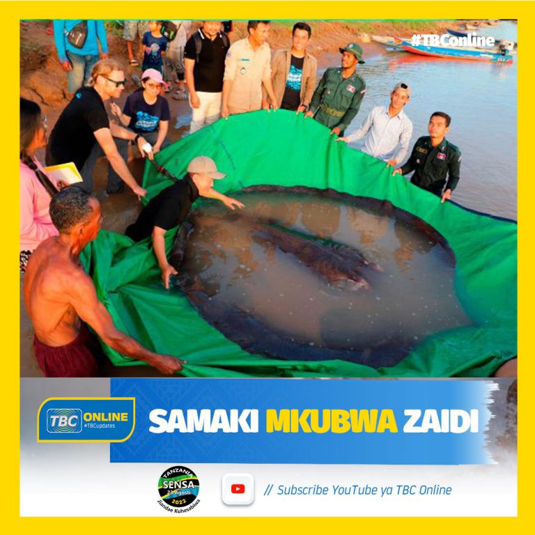 Samaki mkubwa zaidi