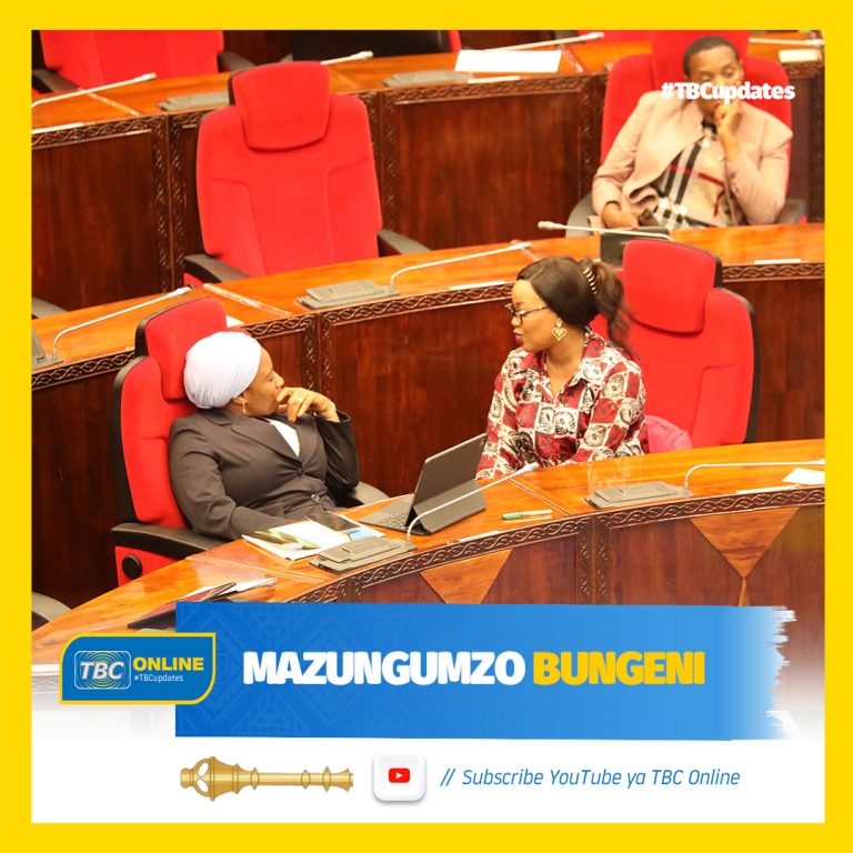 Mazungumzo bungeni