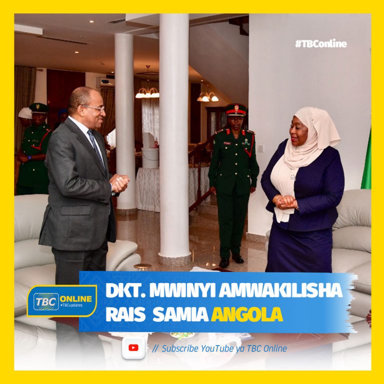 Dkt. Mwinyi amwakilisha Rais Samia Angola