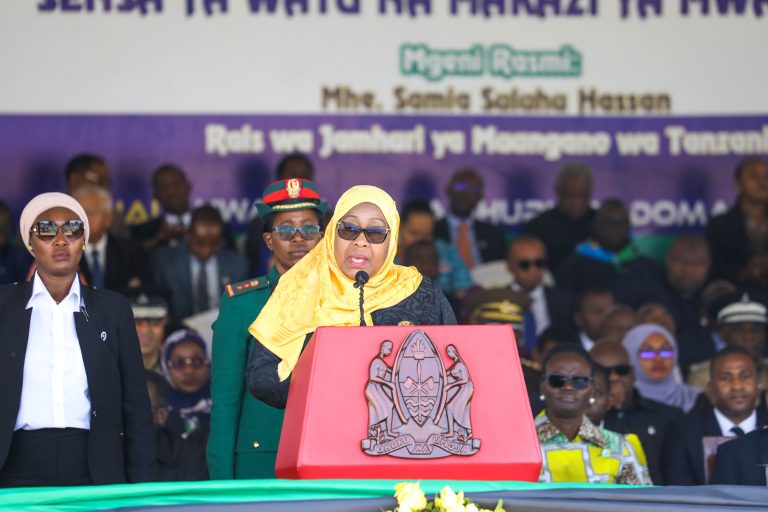 Rais Samia: Tutumie takwimu kuboresha maisha ya Watanzania