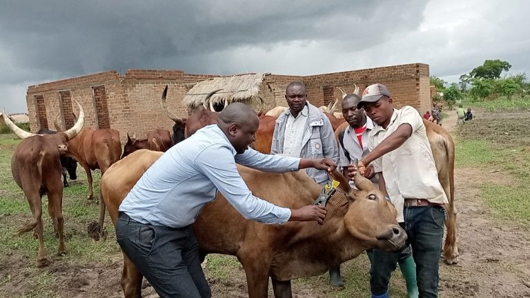 Zoezi la ufungaji hereni za kielektroni kwa mifugo lasitishwa