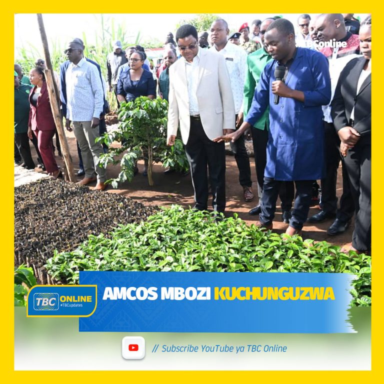 AMCOS Mbozi kuchunguzwa