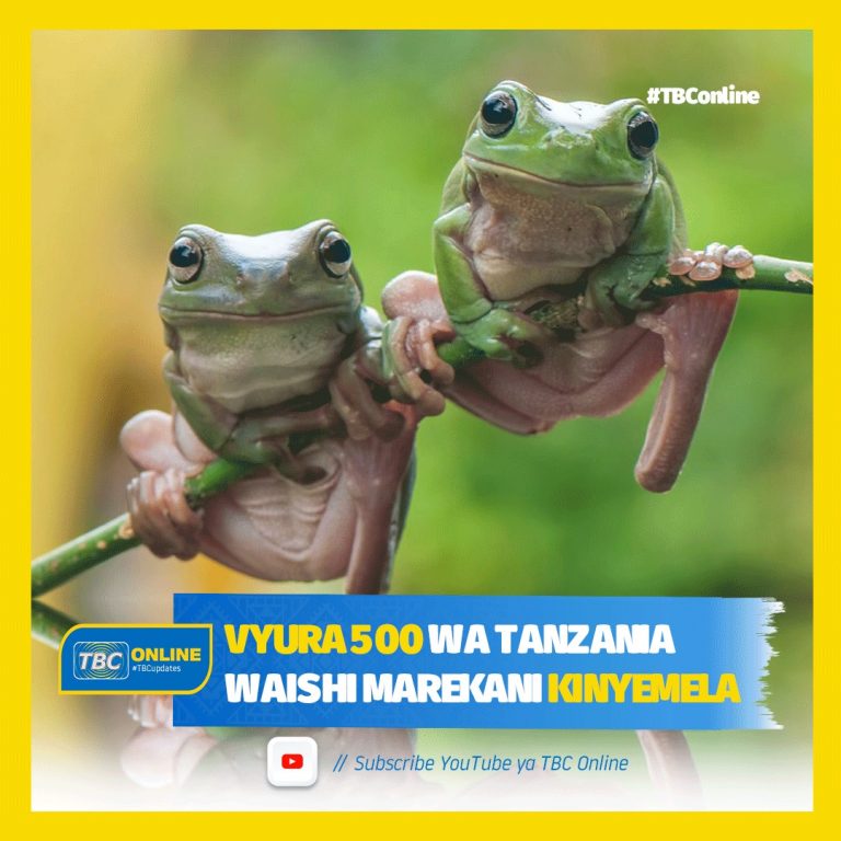 Vyura 500 wa Tanzania waishi Marekani kinyemela