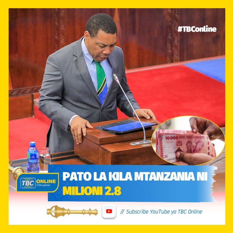 Pato la kila mtanzania Shilingi Milioni 2.8