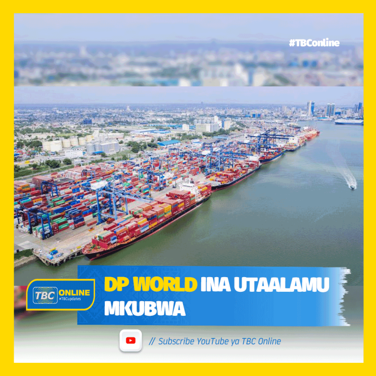 DP WORLD INA UTAALAMU MKUBWA