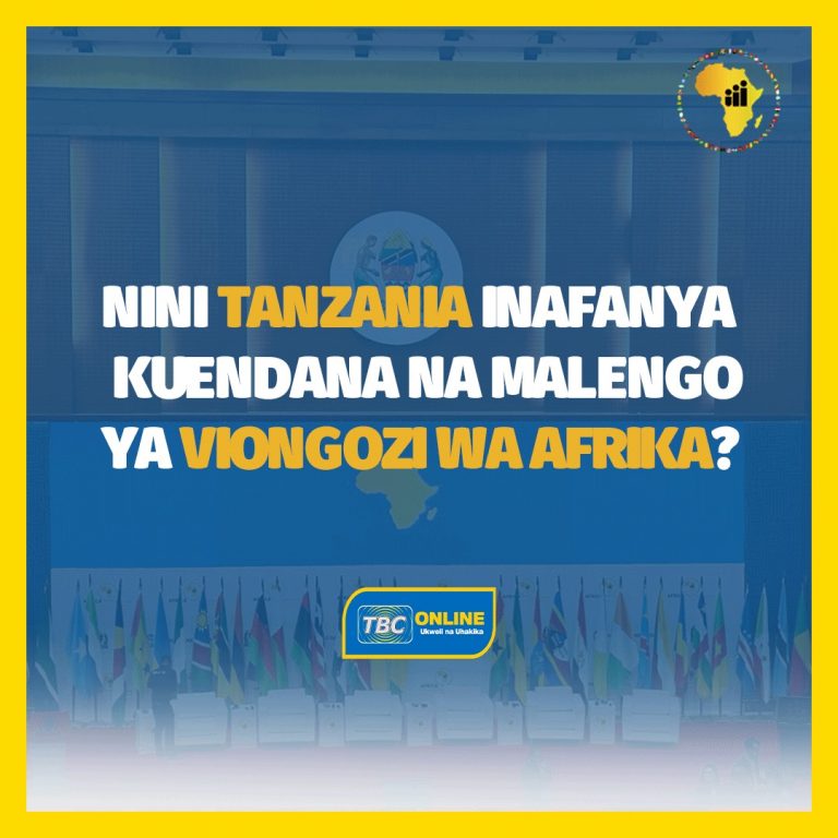 Nini Tanzania inafanya kuendana na malengo ya viongozi wa Afrika?