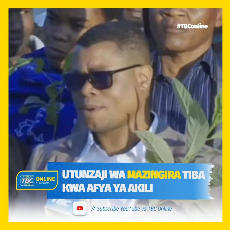 UTUNZAJI WA MAZINGIRA TIBA KWA AFYA YA AKILI