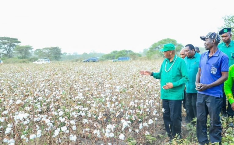 Itilima Walalamikia Bei ya Pamba na Uvamizi wa Tembo